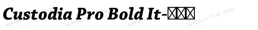 Custodia Pro Bold It字体转换 Custodia Pro Bold It字体转换